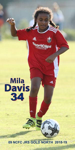 BSoc_9118_210_10x20V_34P