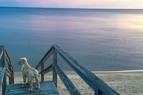 IMG_3355_40x28PSclt_send