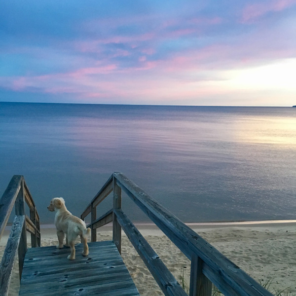 IMG_3355_Peyton on stairs_square_full frame