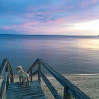IMG_3355_Peyton on stairs_square_full frame