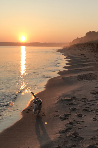 IMG_3221_Peyton_beach_20x30-crop2