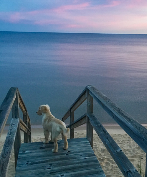 IMG_3355_Peyton on stairs_20x24-crop