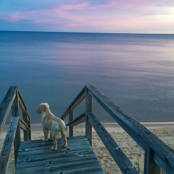 IMG_3355_Peyton on stairs_square_crop2
