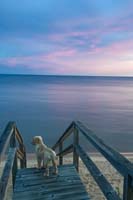 IMG_3355_Peyton on stairs_20x30-fullframe