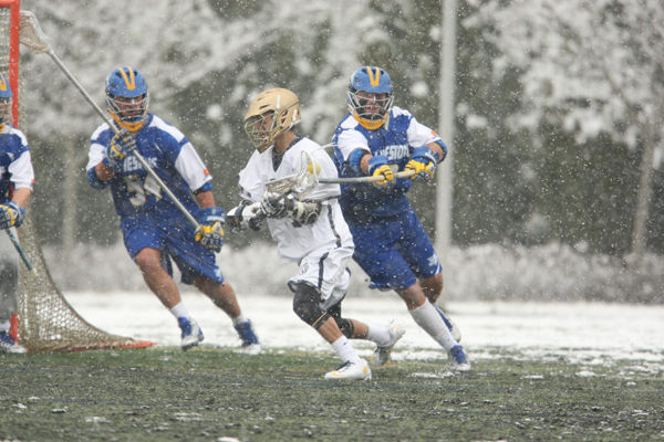 qmlax_2_11_14_0337