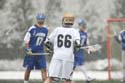 qmlax_2_11_14_0311