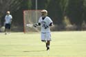 qmlax_3_1_14_0428