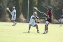 qmlax_3_1_14_0530