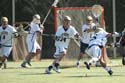 qmlax_3_1_14_0593