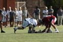 qmlax_3_1_14_0680