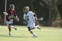 qmlax_3_1_14_0710