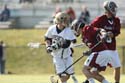 qmlax_3_1_14_1151