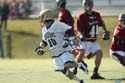 qmlax_3_1_14_1177