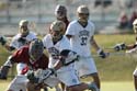 qmlax_3_1_14_1418