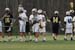 qmlax_3_20_13_0146