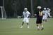 qmlax_3_20_13_0288