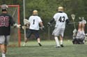 qmlax_4_19_14_0241