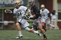 qmlax_4_19_14_0693