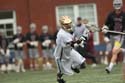 qmlax_4_19_14_1629