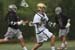 qmlax_4_19_14_0278