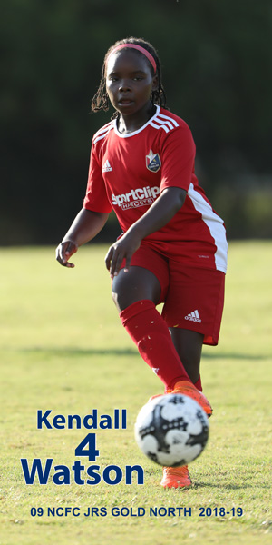 BSoc_9118_075_10x20V_4P