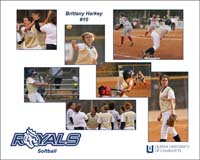 q-sb10-collage07-usm_F