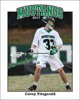 mpv_16x20V_2017_33P_1