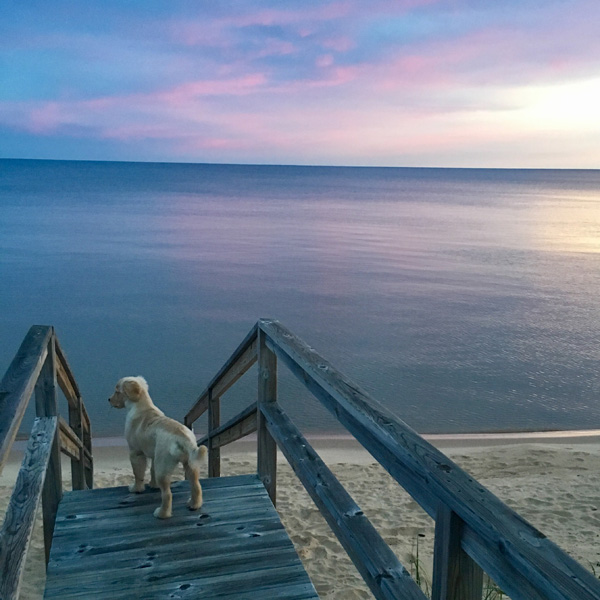 IMG_3355_Peyton on stairs_square_crop