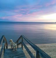 IMG_3355_Peyton on stairs