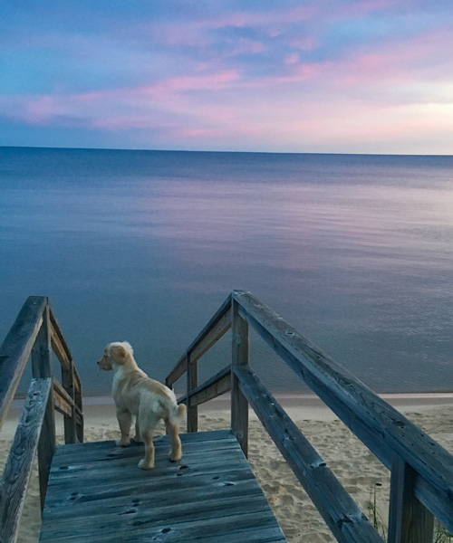 IMG_3355_Peyton on stairs_20x24-cropwider