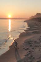 IMG_3221_Peyton_beach_20x30-crop2s