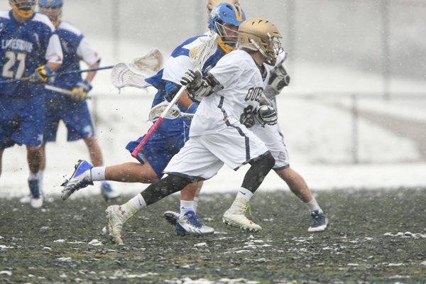 qmlax_2_11_14_0319