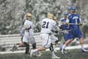 qmlax_2_11_14_1781