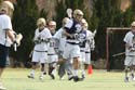 qmlax_3_1_14_0116
