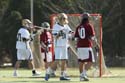 qmlax_3_1_14_0301