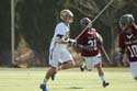 qmlax_3_1_14_0308