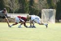 qmlax_3_1_14_0318