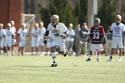 qmlax_3_1_14_0362