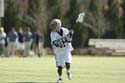 qmlax_3_1_14_0405