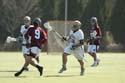 qmlax_3_1_14_0449
