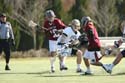qmlax_3_1_14_0516