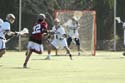 qmlax_3_1_14_0532