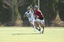 qmlax_3_1_14_0544