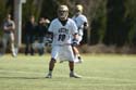 qmlax_3_1_14_0610