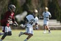 qmlax_3_1_14_0613