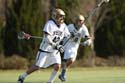 qmlax_3_1_14_1298