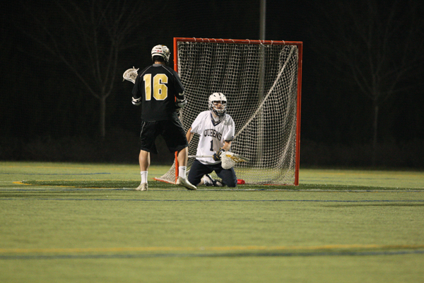 qmlax_3_20_13_1239
