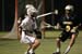 qmlax_3_20_13_1047
