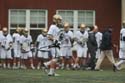 qmlax_4_19_14_0708