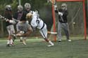 qmlax_4_19_14_1177
